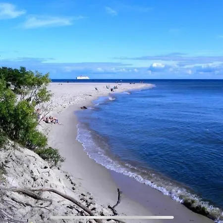 公寓 Dream Apartments- Avenue