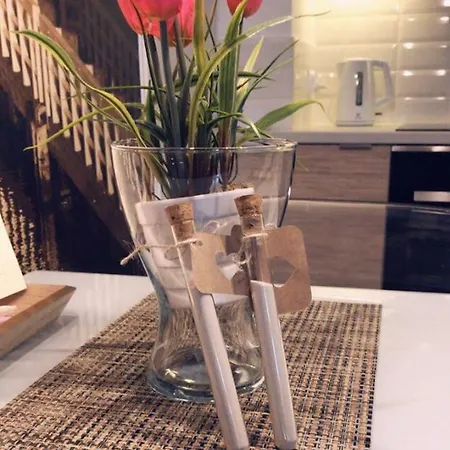 公寓 Dream Apartments- Avenue *